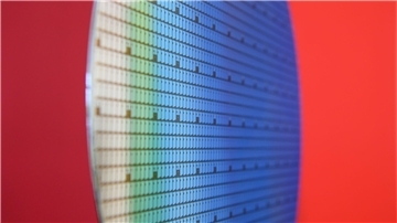 Ein 300-Millimeter-Wafer steht in der Halbleiterfabrik von Bosch im Foyer ausgestellt.