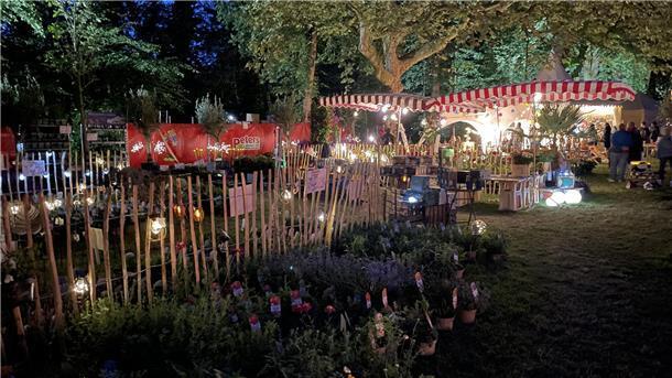 Ein abendlicher Besuch der Landpartie lohnt sich immer. Der illuminierte Friedeburgpark hat seinen besonderen Reiz.