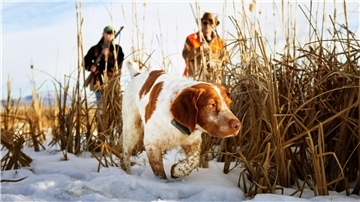 Zwei Jäger mit ihrem Hund