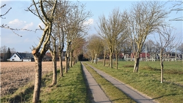 Das von zeigt den von Obstbäumen gesäumten Fuhrenkamp in Sittensen. 