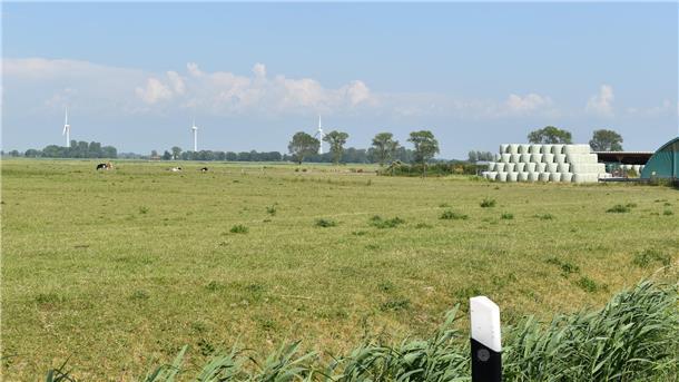 Ein Blick auf Flächen in Morgenland in der Gemeinde Stadland, die für den geplanten neuen Windpark vorgesehen sind. Am Horizont: Anlagen des Windparks Butterburg auf Nordenhamer Stadtgebiet.