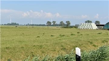 Ein Blick auf Flächen in Morgenland in der Gemeinde Stadland, die für den geplanten neuen Windpark vorgesehen sind. Am Horizont: Anlagen des Windparks Butterburg auf Nordenhamer Stadtgebiet.