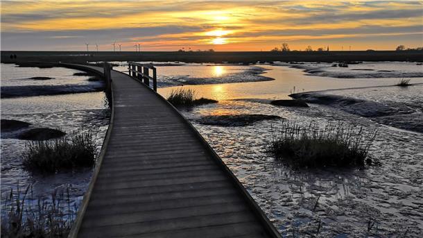 Bohlensteg am Langwarder Groden vor der untergehenden Sonne