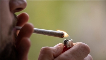 Ein Cannabis zu Hause oder gemeinschaftlich in speziellen Clubs anbauen oder ganz legal einen Joint rauchen - das soll mit dem Gesetz zur Cannabis-Legalisierung möglich werden.