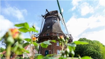 Midlum Mühle Mühlentag