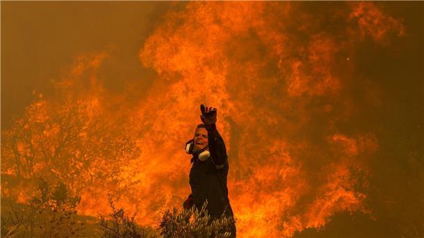 EU-Dienst: Waldbrände auf Nordhalbkugel rekordverdächtig Ein Feuerwehrmann kämpft im griechischen Dorf Hasia nahe Athen gegen ein Flammenmeer.