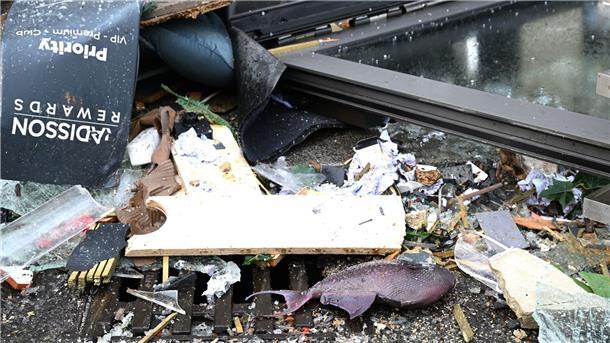 „Regelrechter Tsunami“ - Riesenaquarium in Berlin geplatzt Ein Fisch liegt in den Trümmern auf der Straße.