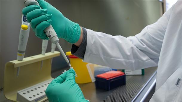Ein Forscher zeigt, wie ein PCR-Test für die Analyse auf Mutationen des Coronavirus vorbereitet wird.