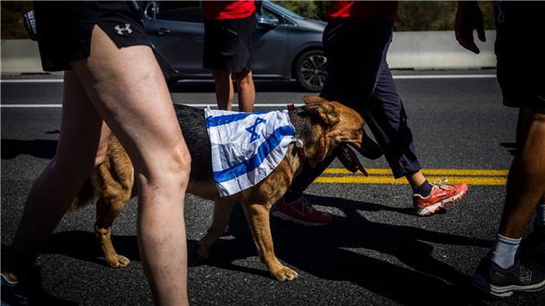 Ein Gegendemonstrant hat auf den Marsch nach Jerusalem seinen Hund mitgebracht.