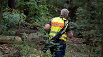 Ein Gemeindejäger durchsucht im Bereich der südlichen Landesgrenze von Berlin den Wald.