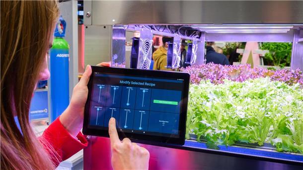 Ein Gewächshaus mit LED-Beleuchtung und künstlicher Bewässerung der Firma Greenhub.