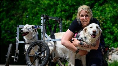 Ein Gnadenhof in der Lüneburger Heide nimmt behinderte und misshandelte Hunde auf. Wegen fehlender Spenden kämpft er um das Überleben.