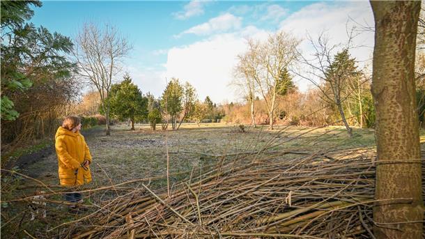 Bremerhaven: Ideen für die Neue Aue gesucht Ein guter Platz für einen Gemeinschaftsgarten? Einen Spielplatz oder einen Aussichtsturm? Mit der Initiative „Meergestrüpp“ sammelt Marnie Knorr Ideen für das Gebiet der „Neuen Aue“.