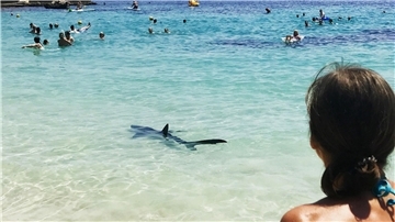 Ein Hai schwimmt durch flaches Wasser auf Mallorca und erschreckt Badegäste.