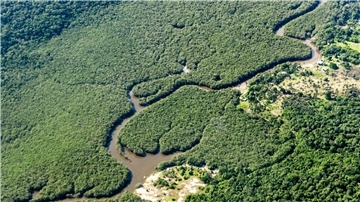Ein kleiner Fluss schlängelt sich durch den Amazonas-Regenwald. Das brasilianische Amazonasgebiet gilt als CO2-Speicher.