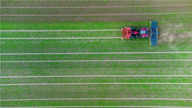 Millionenförderung für autonome Landwirtschaftsprojekte Ein Landwirt fährt mit seinem Trecker über ein Feld.