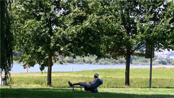 Städte im Hitze-Check: Heißes Mannheim, kühles Hattingen Ein Mann hat sich ein schattiges Plätzchen am Ufer des Rheins in Leverkusen gesucht. (Archivbild)