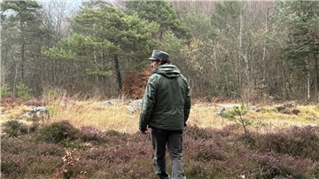 Ein Mitarbeiter des Forstkorps im Trentino untersucht ein Waldstück. Im Trentino leben durch ein erfolgreiches Wiederansiedlungsprojekt wieder Braunbären.