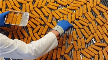 Ein Mitarbeiter kontrolliert Fischstäbchen in der Produktion eines Tiefkühlkost-Herstellers. Frozen Fish betreibt in Bremerhaven eine der größten Fischstäbchenfabriken. Dort wird am Mittwoch gestreikt.