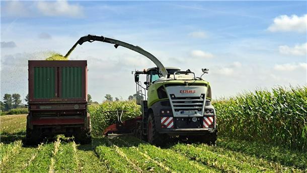 Bild eines Maishäckslers und eines Häckselwagens bei der Ernte