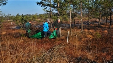 Ein Naturschutzeinsatz mit Unterstützung durch ehrenamtliche Helfer fand jetzt auf einer wertvollen Regenerationsfläche im Hohen Moor statt.