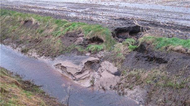 Ein negatives Beispiel: Graben vor dem Selsinger Moor mit Böschungsauskolkung durch zu nahe Beackerung und Erosionsrinne.