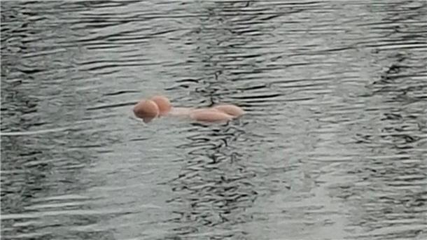Torso im Mittellandkanal entpuppt sich als Sexspielzeug Ein Paar im Ruderboot, das zufällig vorbeikam, holte das Sexspielzeug aus dem Wasser.