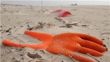 Ein Plastikhandschuh wurde an den Strand gespült.