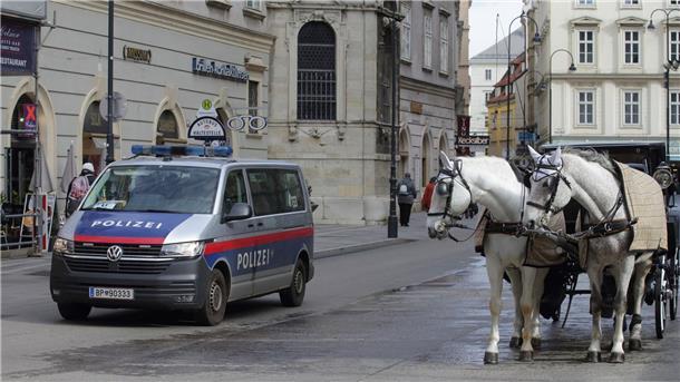 Entwarnung nach Terror-Alarm in Wien Ein Polizeiwagen neben einem Fiaker vor dem Wiener Stephansdom.