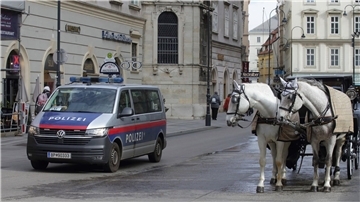 Ein Polizeiwagen neben einem Fiaker vor dem Wiener Stephansdom.