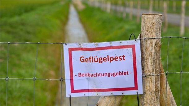 Erster Fall von Vogelgrippe im Kreis Cuxhaven - Was nun wichtig ist Ein Schild, die nun auch im Landkreis Cuxhaven zu sehen sein werden. Die Geflügelpest, auch Vogelgrippe genannt, breitet sich rasant aus.