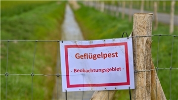 Ein Schild, die nun auch im Landkreis Cuxhaven zu sehen sein werden. Die Geflügelpest, auch Vogelgrippe genannt, breitet sich rasant aus.