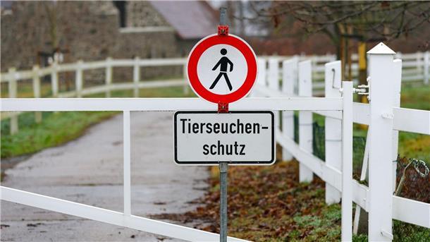 Ein Schild verweist am Eingang zu einer Gänsezucht im sächsischen Wermsdorf auf den Tierseuchenschutz.