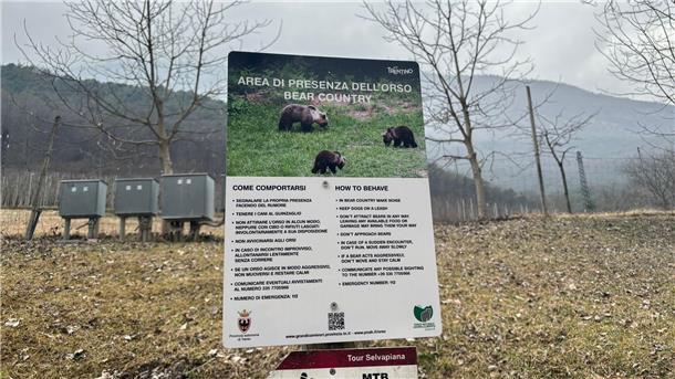 Kritik an Gesetz zur Tötung von Bären im Trentino Ein Schild weist im Trention auf das Vorkommen von Bären hin.