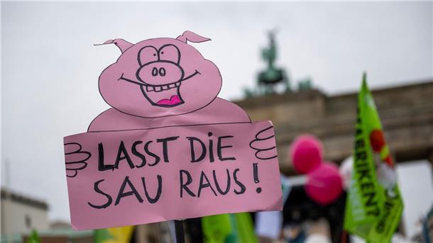 Ein Teilnehmer trägt auf der Demonstration vor dem Brandenburger Tor ein Plakat mit der Aufschrift „Lasst die Sau Raus!“.