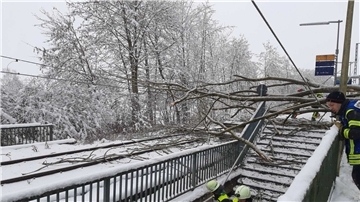 Ein umgestürzter Baum an der S-Bahnhaltestelle St. Koloman in Wörth sorgt für Verletzungen.