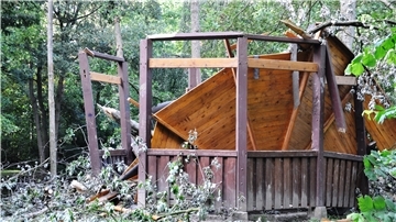 Ein umgestürzter Baum hat vor einem Jahr den historischen Pavillon im Friedeburgpark zerstört.