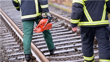 Baum umgestürzt – Bahnstrecke Leer-Oldenburg gesperrt Ein umgestürzter Baum sorgt für Behinderungen auf der Bahnstrecke Norddeich Mole-Hannover. (Symbolbild)