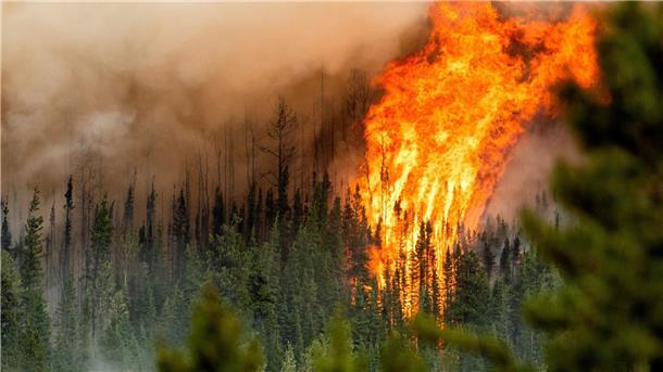 Waldbrände in Kanada verursachen Rekordemissionen Ein Waldbrand wütet in der Region Donnie Creek. So sind nach Angaben des EU-Erdbeobachtungsprogramms Copernicus Rekordmengen an Kohlenstoff in die Atmosphäre aufgestiegen.