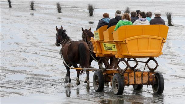 Ein Wattwagen fährt durch das Watt vor der Insel Neuwerk. Der Weg, der die Insel und Cuxhaven verbindet, wurde vergangenes Jahr verlegt.