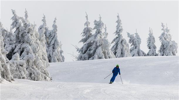 Ein Wintersportler fährt auf Skiern eine Piste hinunter.