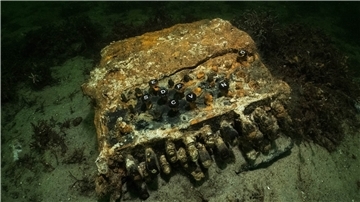 Eine Enigma aus dem Zweiten Weltkrieg liegt auf dem Grund der Ostsee. Bei der Suche nach herrenlosen Fischernetzen haben Forschungstaucher diese Chiffriermaschine gefunden.