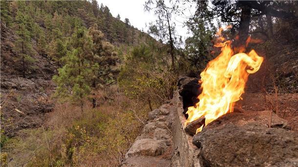 Waldbrand auf Teneriffa zwingt zu weiteren Evakuierungen Eine Flamme lodert in einem Waldgebiet in den Bergen nahe der Gemeinde Arafo.