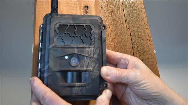 Kamera in Tarnfarben zum Wolfsmonitoring