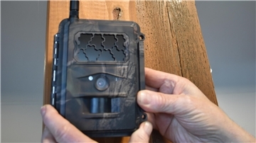 Kamera in Tarnfarben zum Wolfsmonitoring