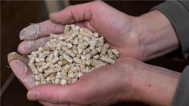 Run auf Kaminöfen und Pelletheizungen vorbei  Eine Frau hält Holzpellets in den Händen.