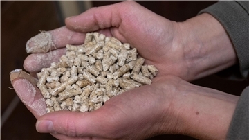 Eine Frau hält Holzpellets in den Händen.