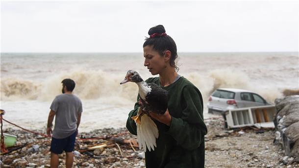 Schlimmster Herbststurm seit 100 Jahren auf Kreta Eine Frau rettet nach dem schweren Sturm einen Vogel am Strand des Dorfes Paliokastro auf Kreta.