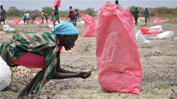 UN nach Aus von Getreideabkommen: Viele könnten sterben Eine Frau sammelt im südsudanesischen Kandak Hirse vom Boden auf, die in Säcken vom Welternährungsprogramm der Vereinten Nationen über der Stadt abgeworfen wurden.