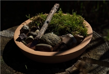 Eine ideale Insektentränke bietet den kleinen Nützlingen unterschiedliche Landeplätze und stellt sicher, dass sie nicht ins Wasser fallen.